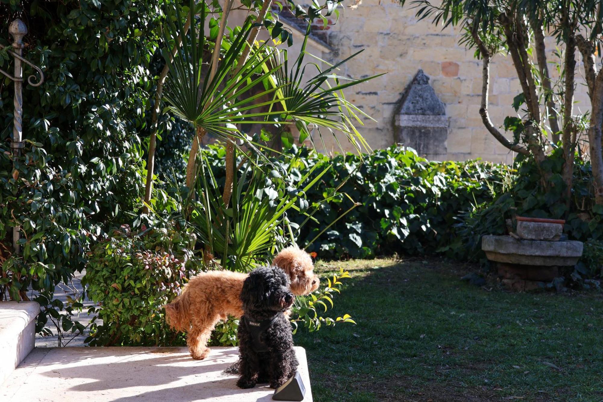 Aurelia Maison Verona Dış mekan fotoğraf