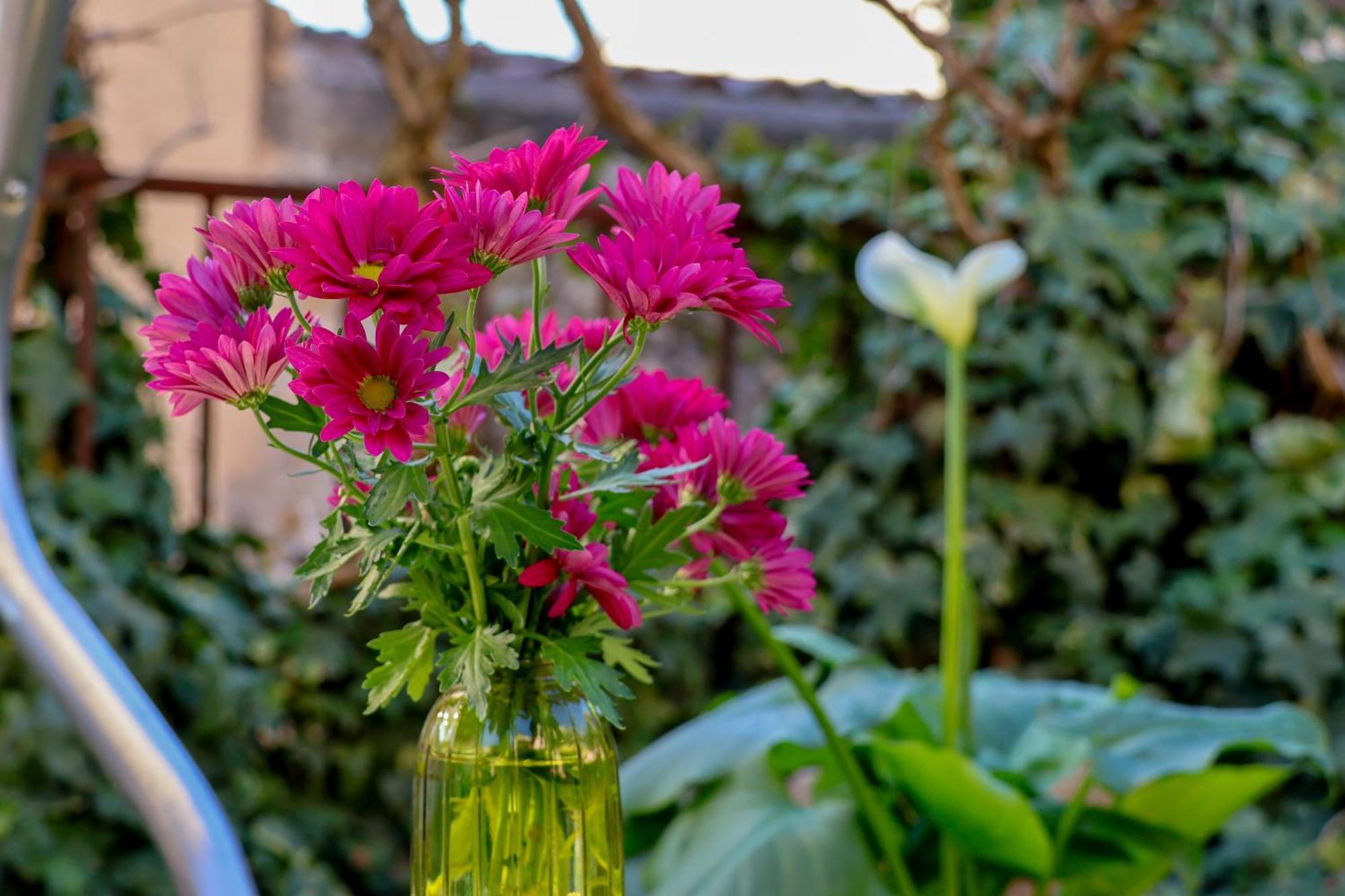 Aurelia Maison Verona Dış mekan fotoğraf