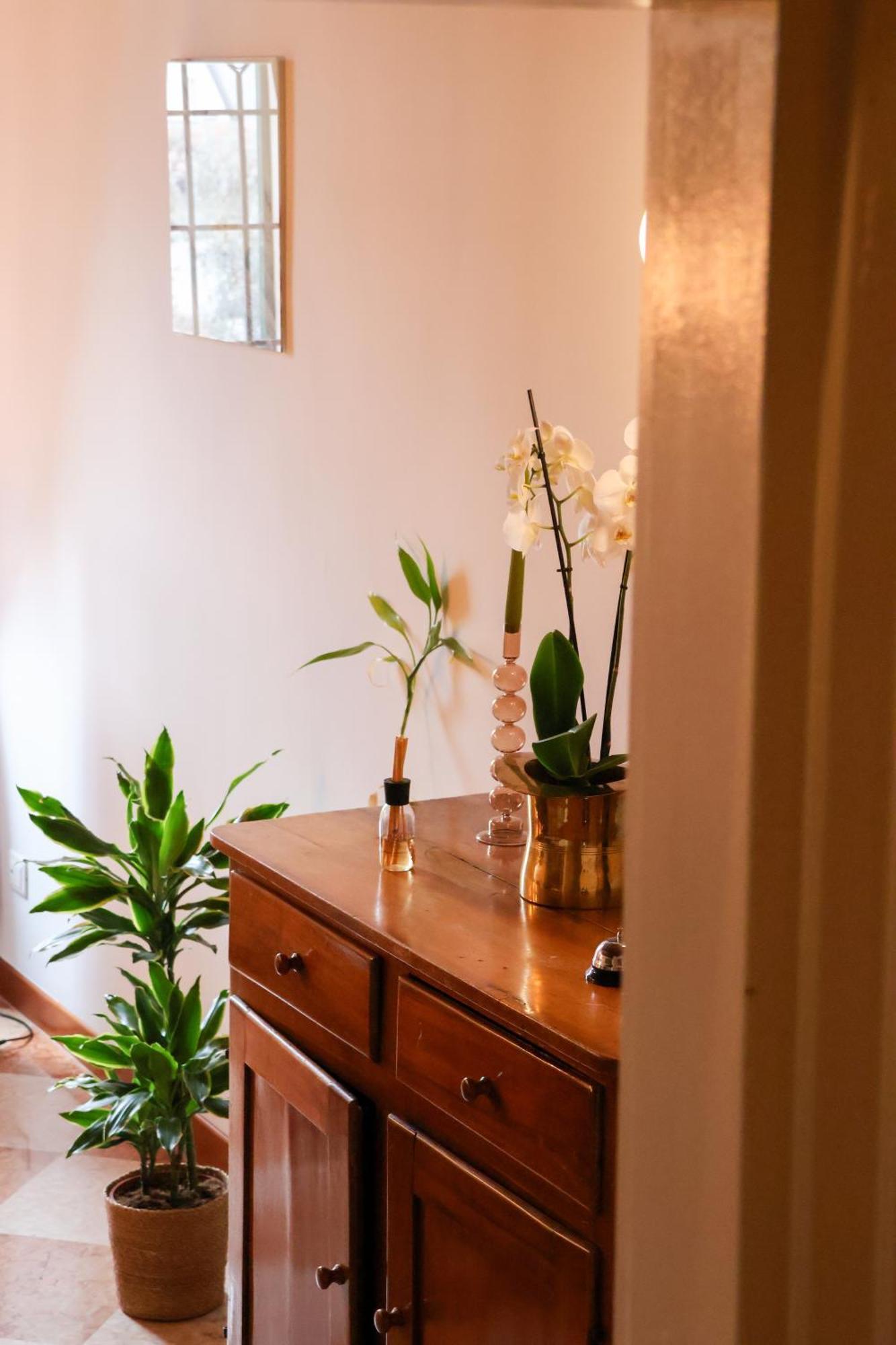 Aurelia Maison Verona Dış mekan fotoğraf